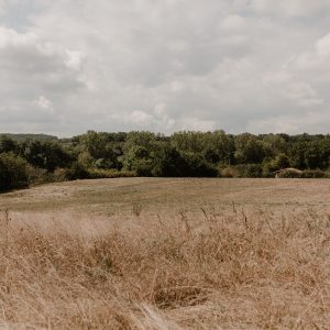 L&rsquo;écologie est-elle toujours à la mode ?