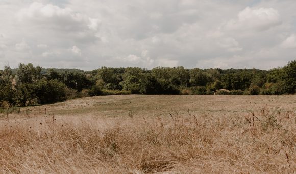 L&rsquo;écologie est-elle toujours à la mode ?