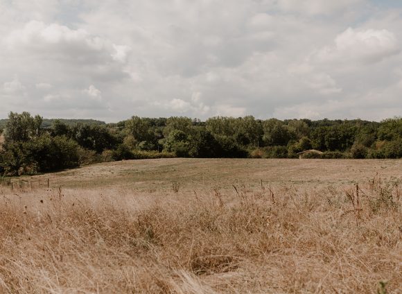 L&rsquo;écologie est-elle toujours à la mode ?